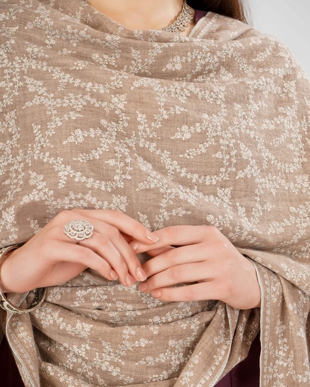 pashmina elegant shawl